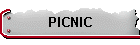 PICNIC